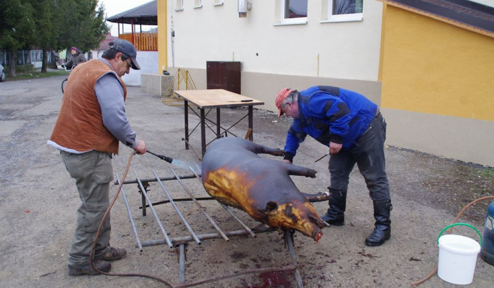 Fašiangová zabíjačka 2018 Fašiangová zabíjačka 2018